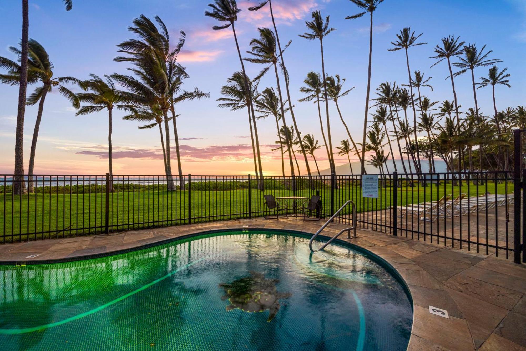 Hale Kai O'Kihei 317 Apartment Bagian luar foto